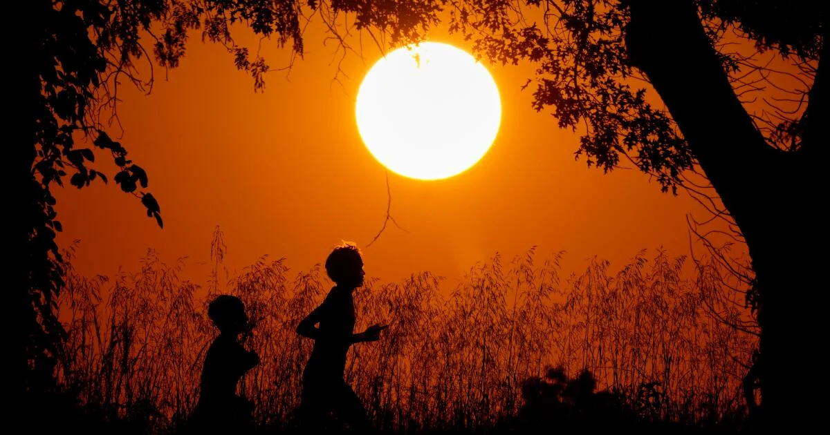 U.S. life expectancy climbs to a record 79 in 2024 as deaths from leading killers ease