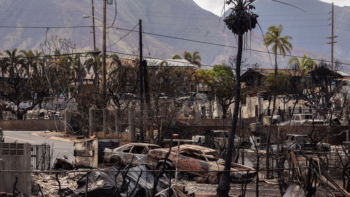 Featured image for "Hawaii Governor Urges Conversion of Vacation Rentals to Homes for Maui Wildfire Survivors"
