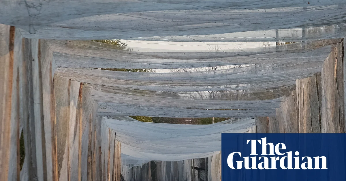 Featured image for French Fishing Nets Turned Defense Shields Against Drones in Ukraine