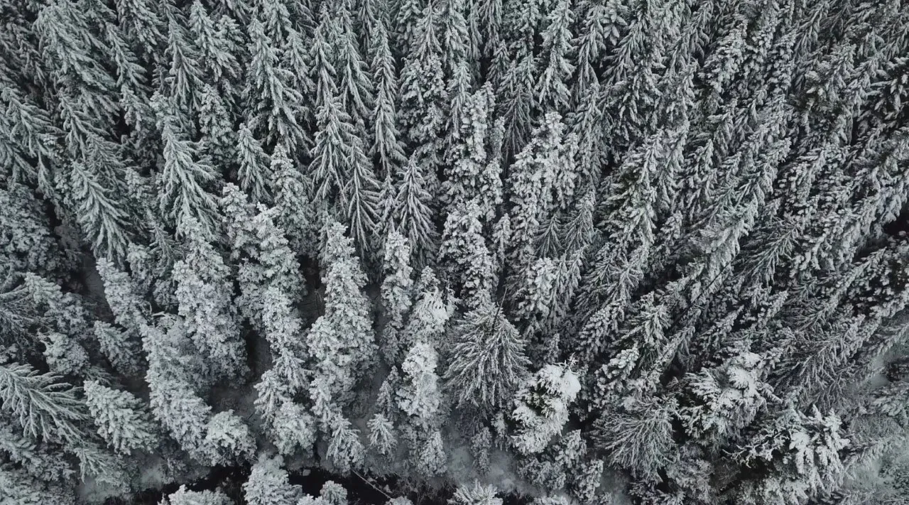 "Winter Storm Warning: Portland Braces for February Snow"