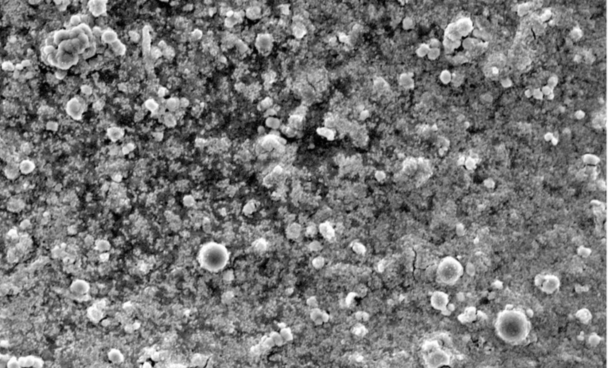 Featured image for Bacteria Converts CO₂ to Rock in Hours, Bypassing Carbon Capture