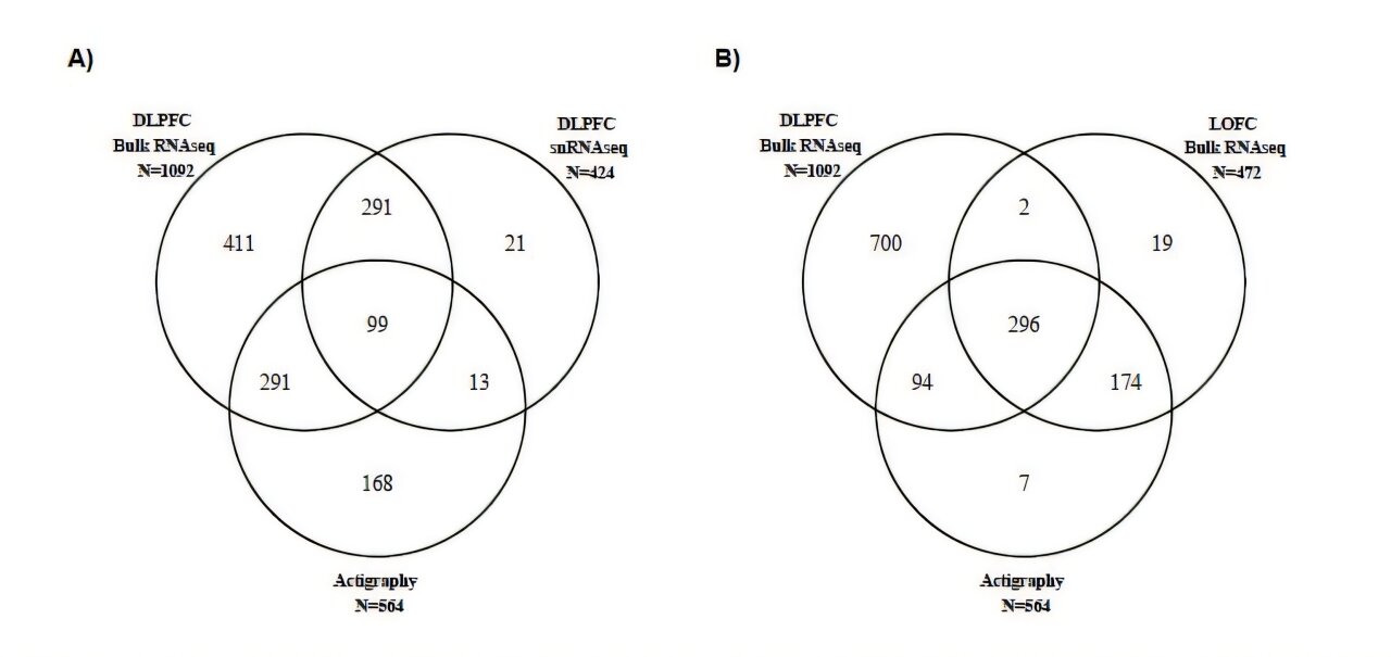 Featured image for Poor Sleep Habits May Elevate Alzheimer's Risk and Damage Brain Vessels