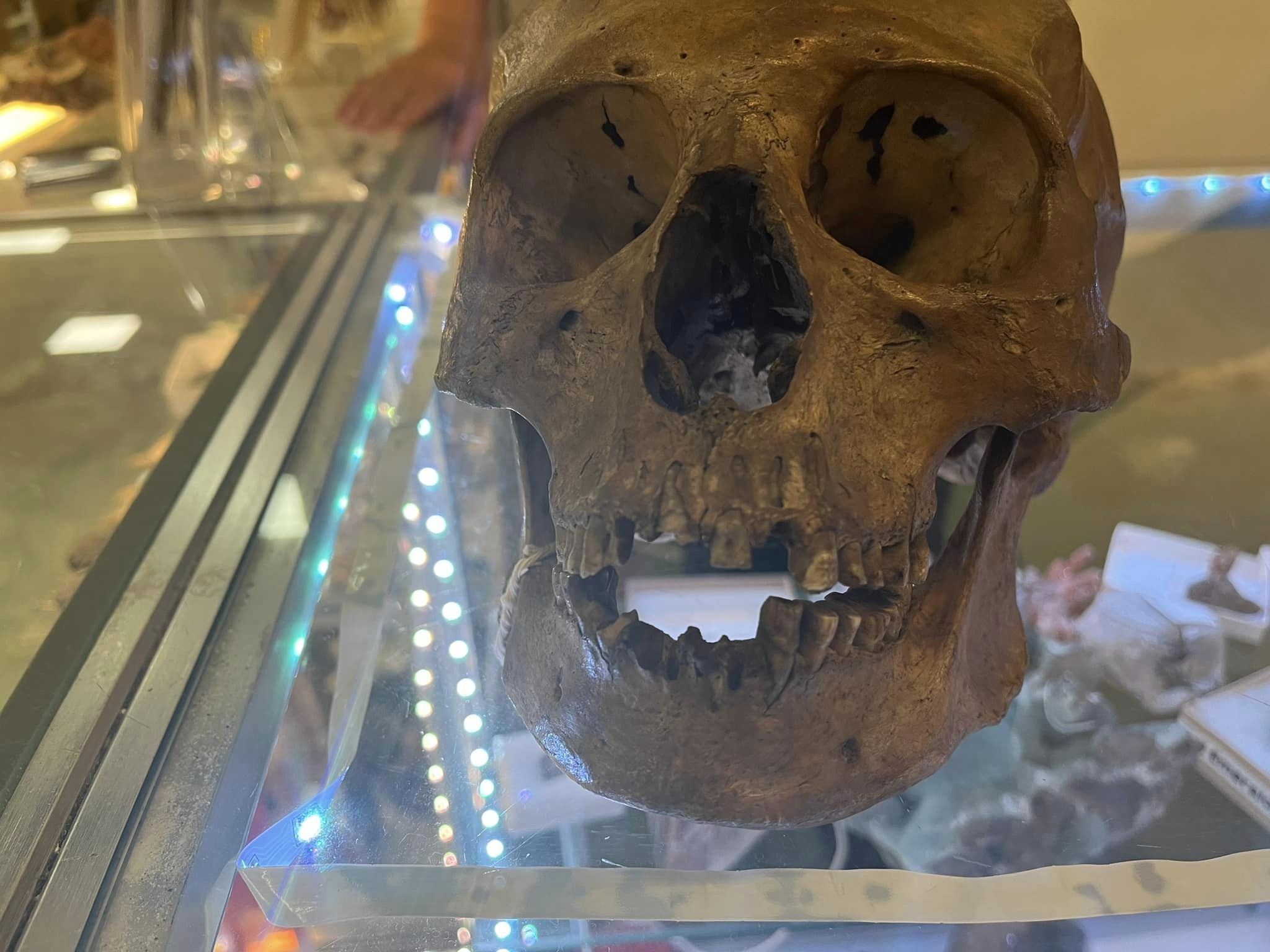 Featured image for "Disturbing Discovery: Human Skull Unearthed in North Fort Myers Thrift Store"