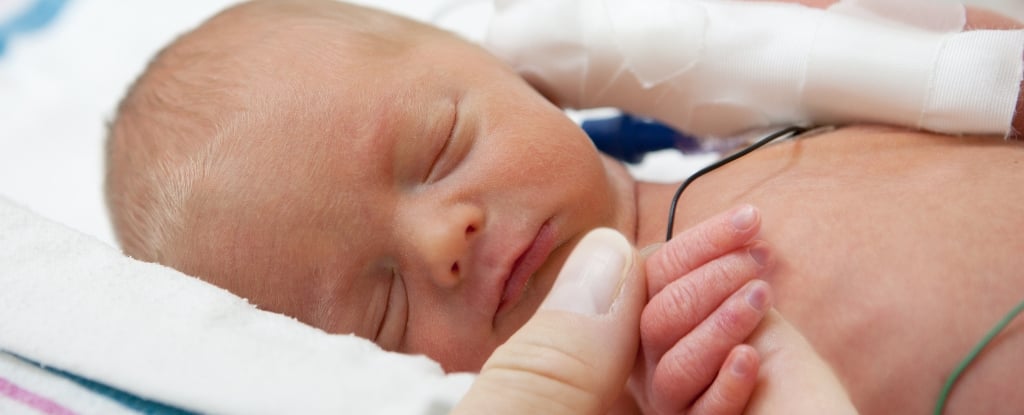 Featured image for "Plastic Chemicals Linked to 10% of US Premature Births: Study"