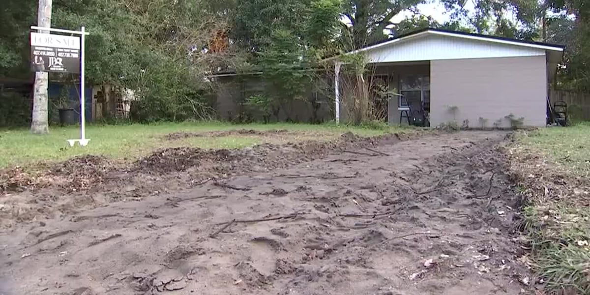 Featured image for "Florida Woman's Driveway Mysteriously Vanishes, Contractor Sheds Light on Scam"