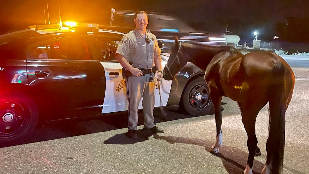 Featured image for Drunken Horseback Rider Arrested for DUI in California