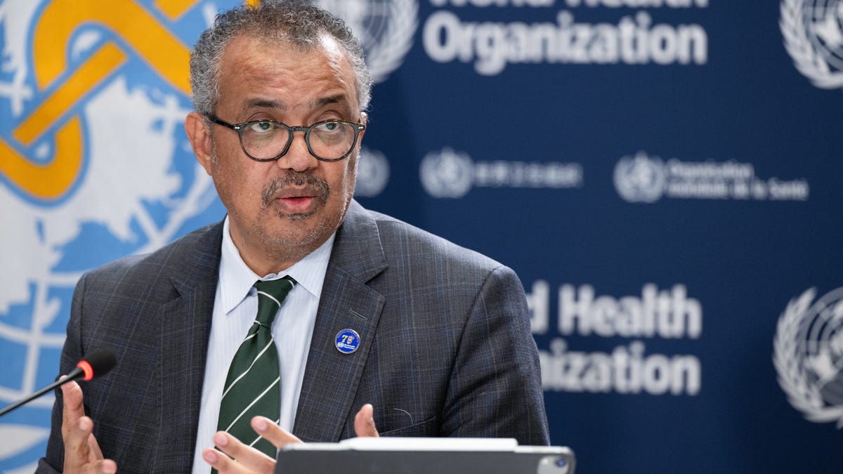 "Disease X: Global Strategies to Prevent a Pandemic"