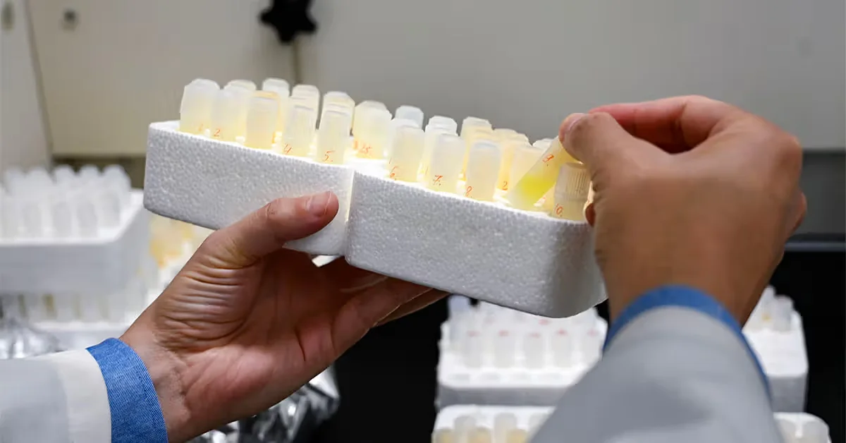 Featured image for Lithium Deficiency Linked to Alzheimer’s and Its Potential as a Treatment