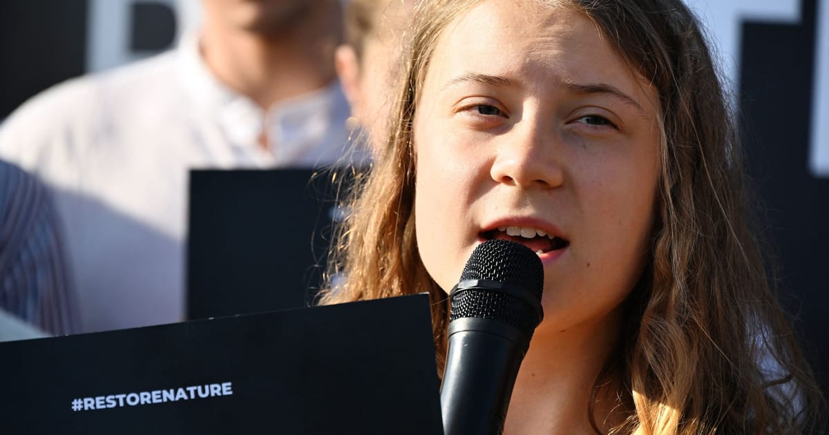Greta Thunberg Fined for Defying Police at Climate Protest in Sweden