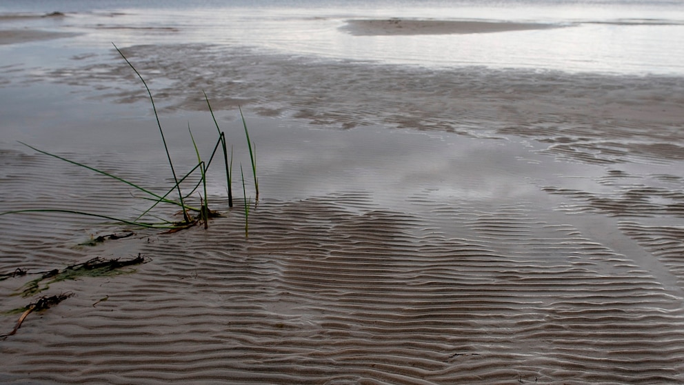 "122 Fishermen Rescued from Stranded Ice Floe on Minnesota's Upper Red Lake"