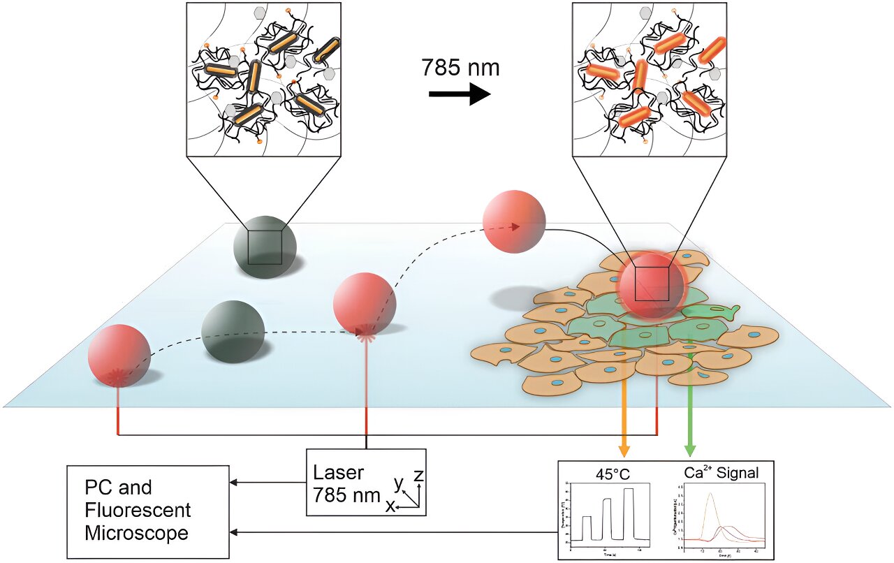 Featured image for Microrobots Revolutionize Cell Navigation and Stimulation