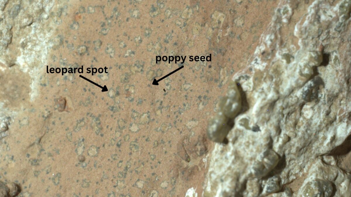 Featured image for NASA's Perseverance Rover Detects Strongest Evidence of Ancient Life on Mars