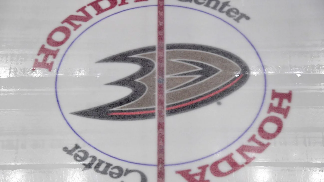 Greg Cronin named head coach of Anaheim Ducks.