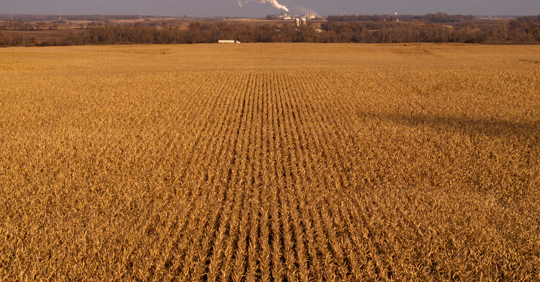 Featured image for "Government Report Exposes Massive Insurance Subsidies for Big Farmers"