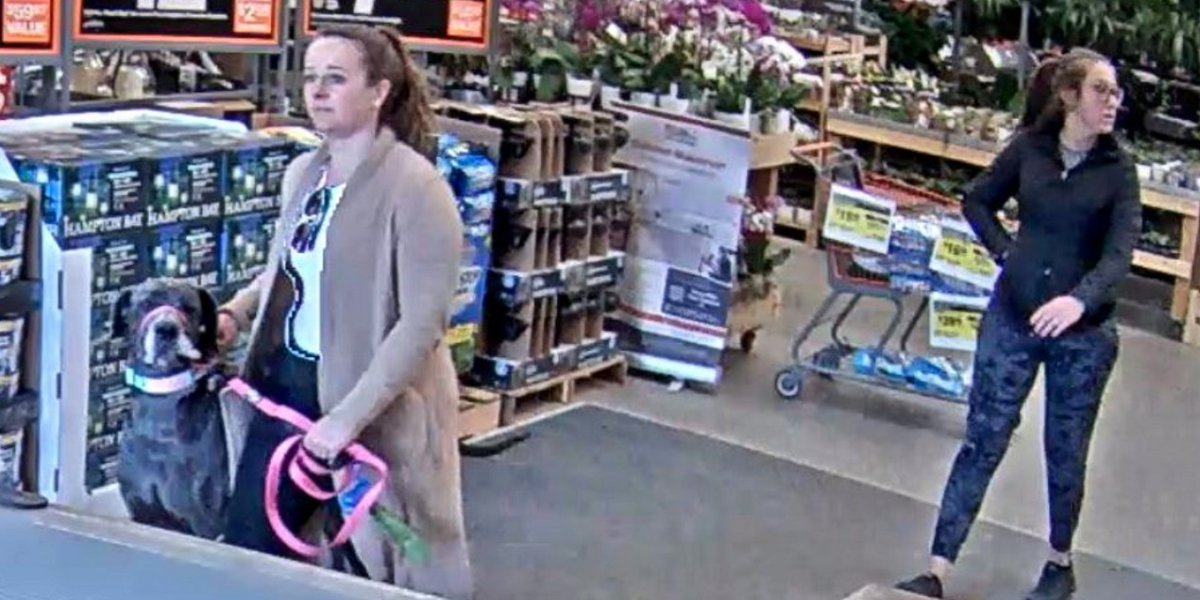 Featured image for Dog bites Home Depot customer in Colorado, victim requires surgery.