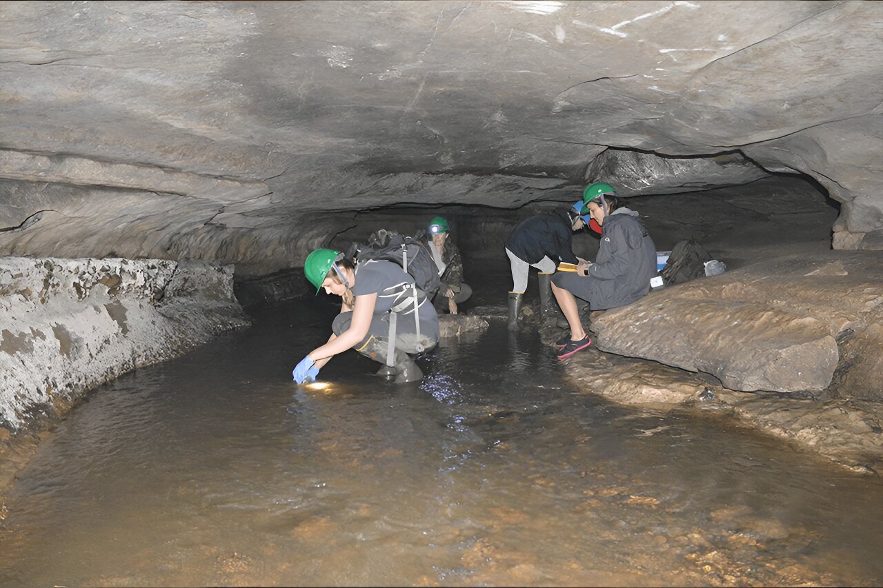 Featured image for Microplastics Contamination Explored in Cave Environments and Invertebrates