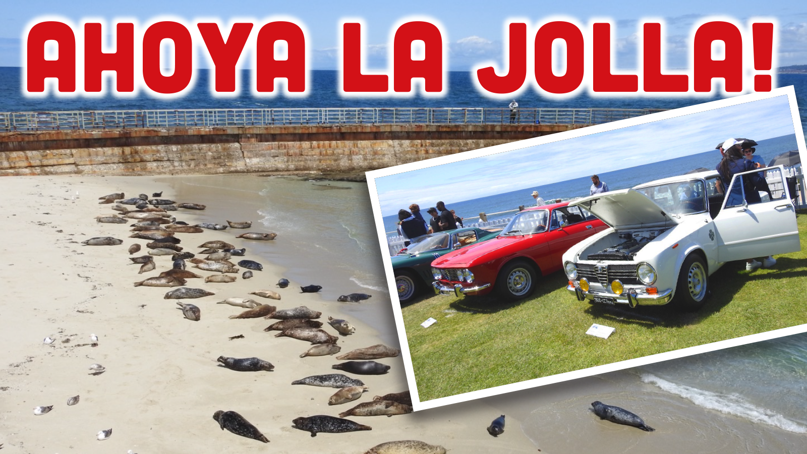 Featured image for Top Cars That Caught My Eye at a Stylish Car Show