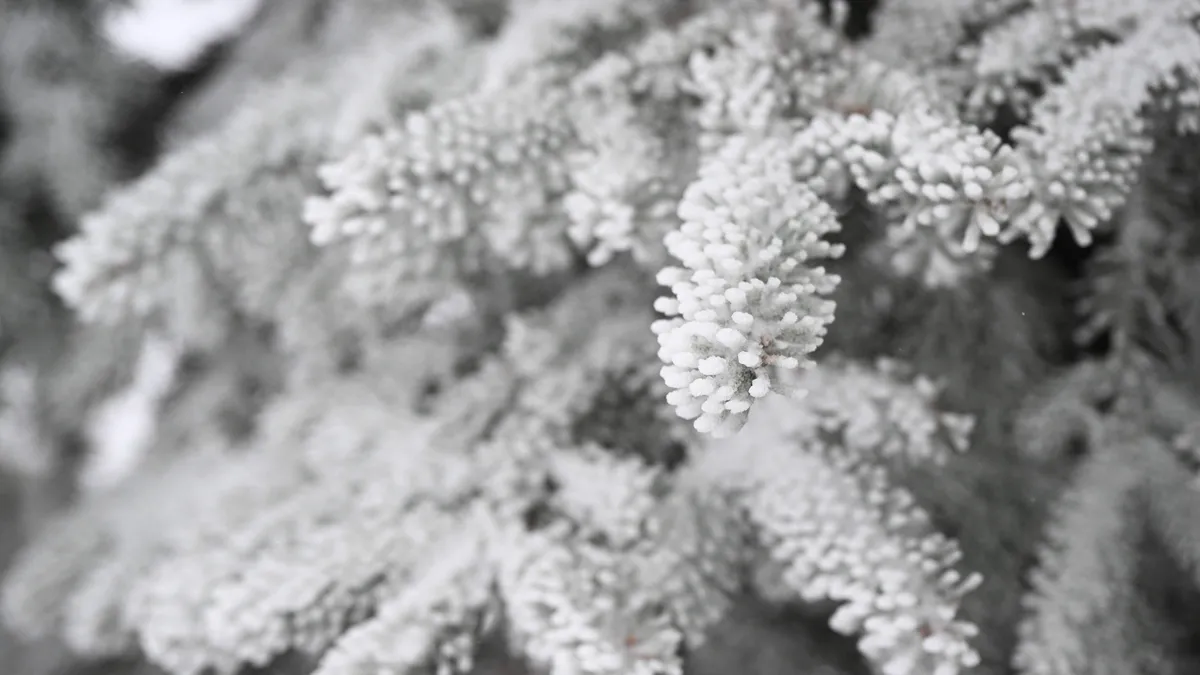 Tragic Idaho Avalanche: 1 Presumed Dead, 2 Rescued