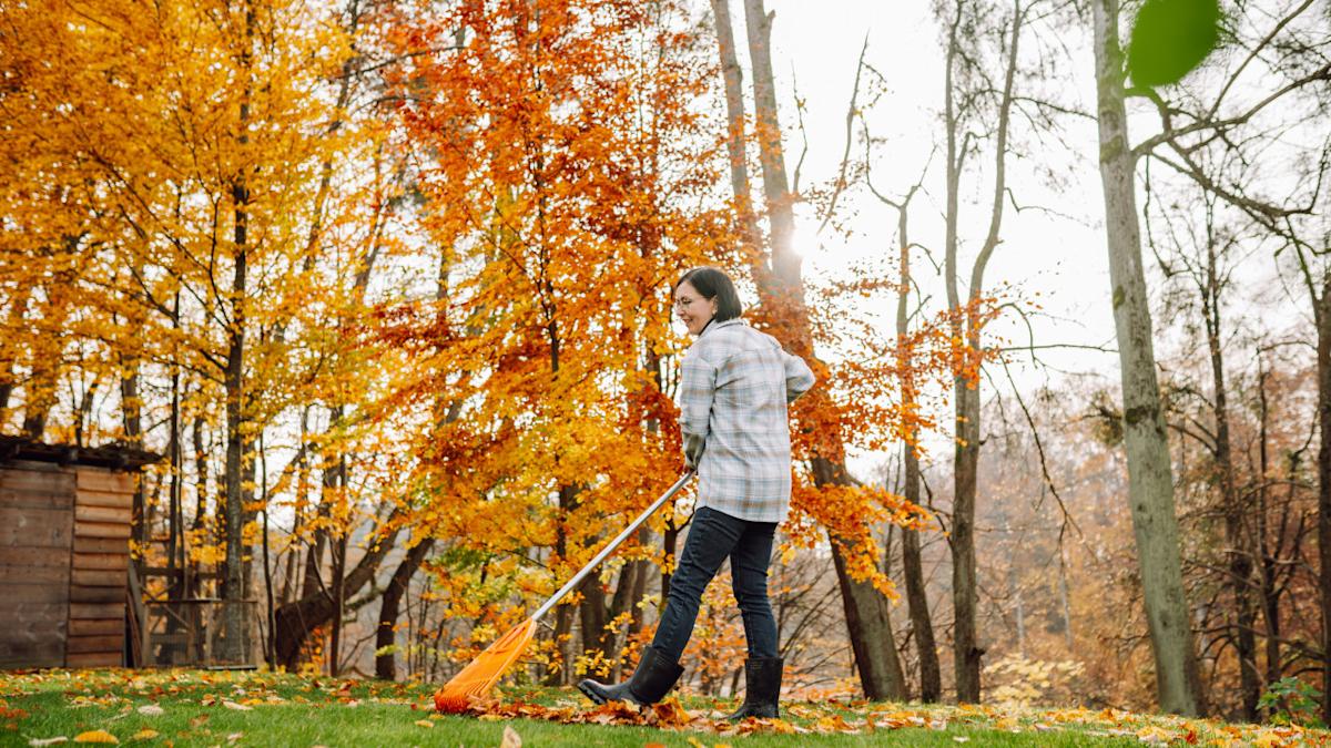 Featured image for ER Doctors' Top Tips to Avoid Yard Emergencies