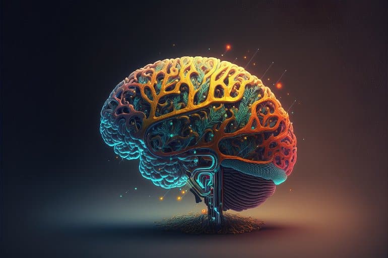 Insights into Sex-Based Brain Development in Early Childhood from Newborns' Brains.