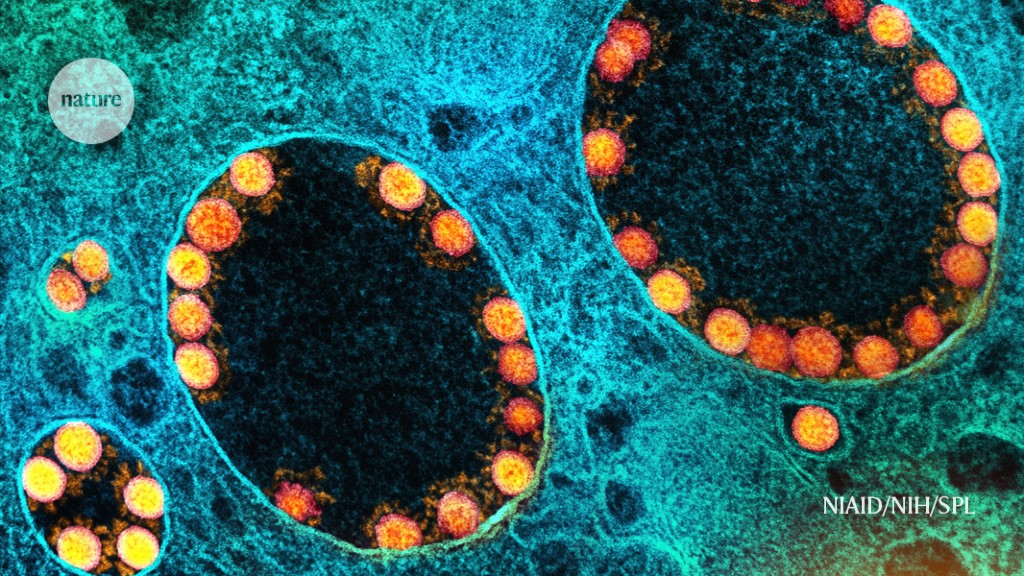 Advancements in Inhaled COVID Vaccines: Monkey Trials Show Promise