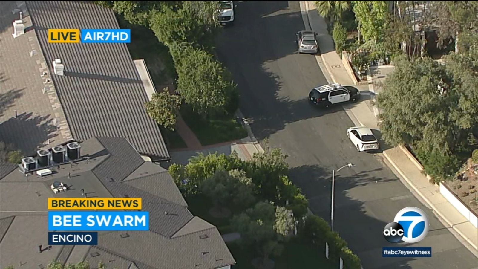 Featured image for Bee swarm injures two and forces road closures in Encino.