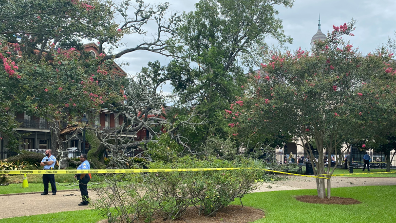 Featured image for Tree Tragedies: Teenager and Man Injured by Falling Trees in Jackson Square and Corpus Christi