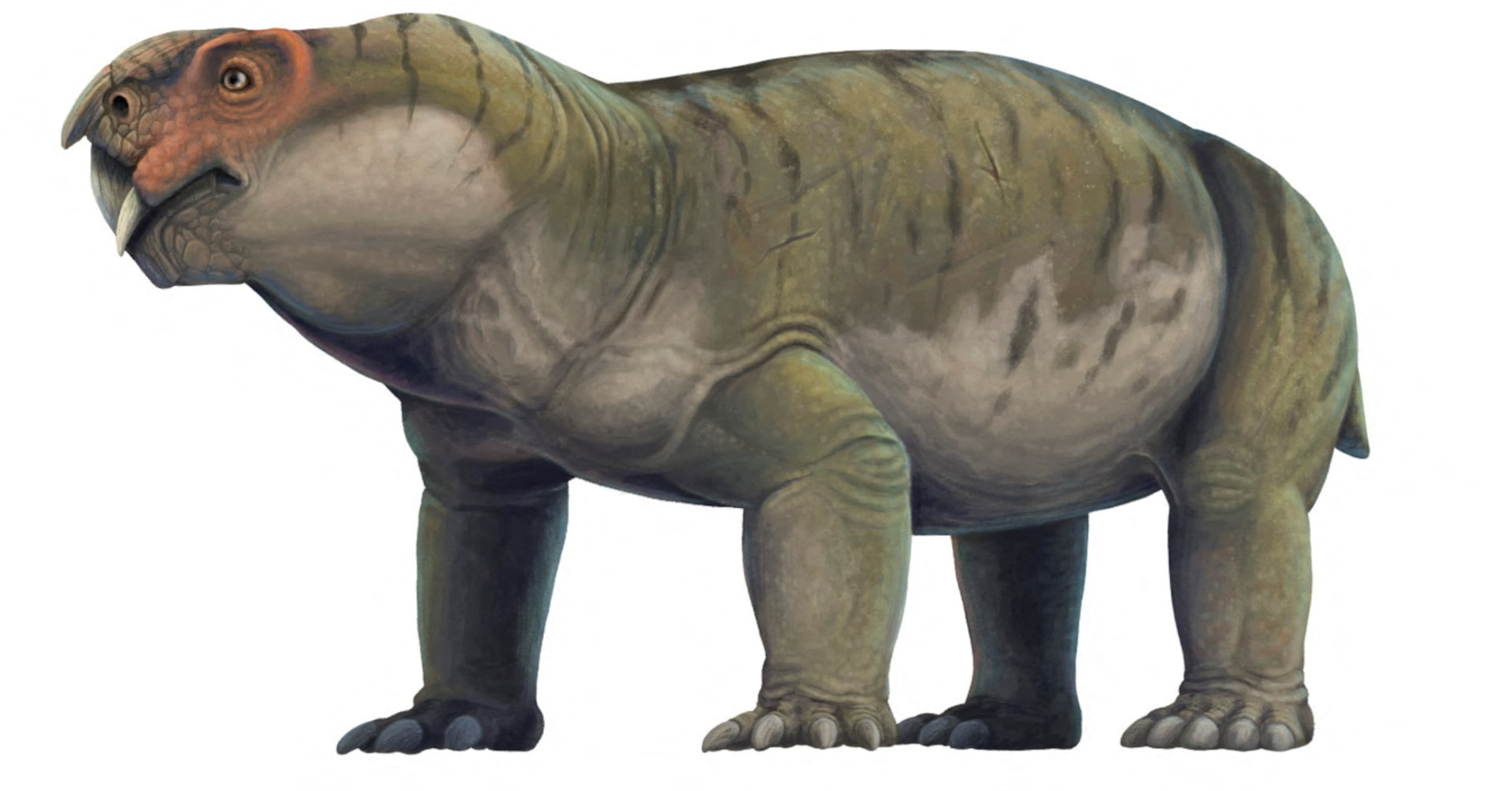 Featured image for Modern Tech Reveals Secrets of 250M-Year-Old 'Elgin Marvel' Fossil