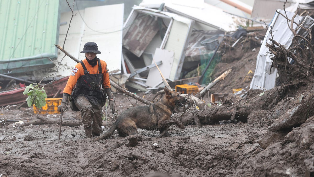 "South Korea's Devastating Floods Claim Over 40 Lives, Prompting Climate Change Concerns"