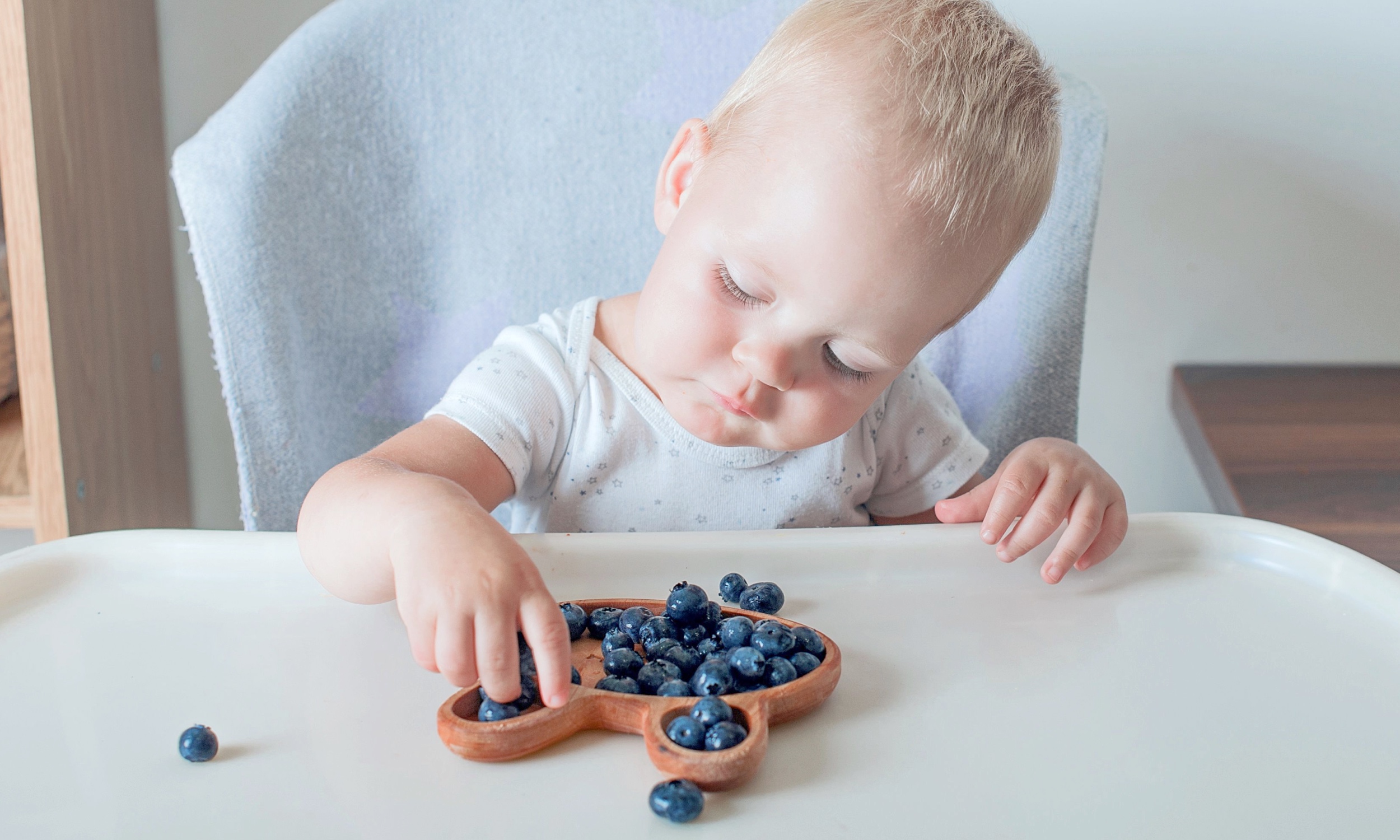 Featured image for Blueberries Boost Infant Immunity and Gut Health, Study Finds