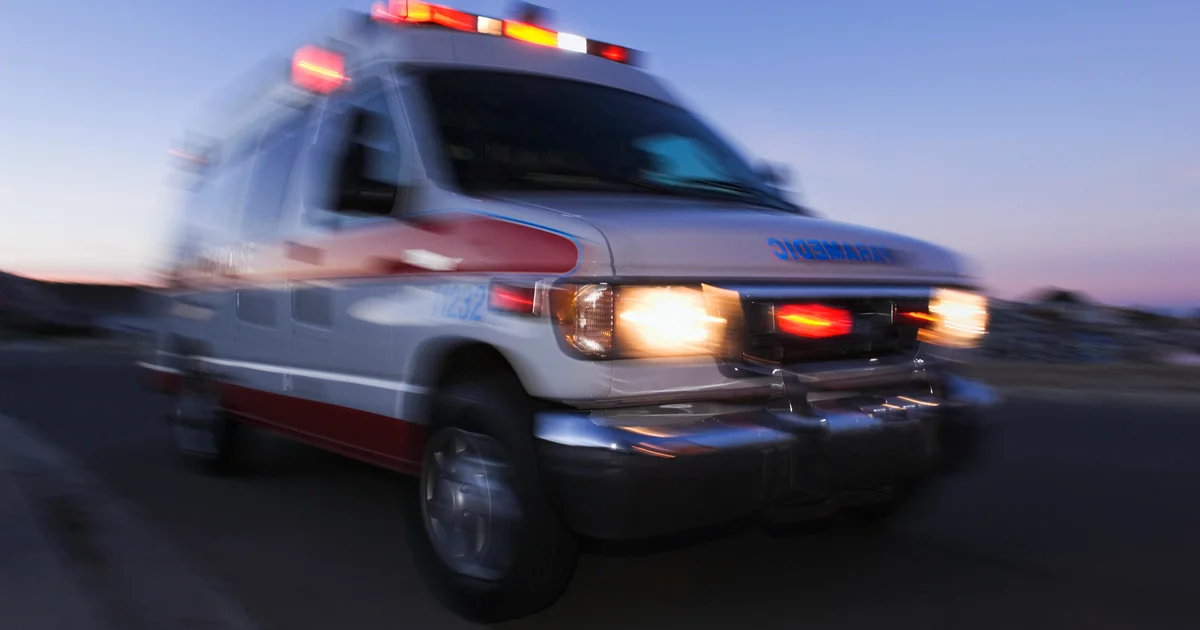 Featured image for Infant Fatally Attacked by Family Dog, Parents Injured, New Jersey Police Report