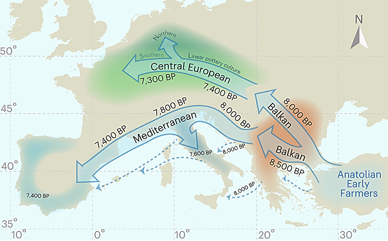Featured image for Cultural Practices and Environmental Stress Shaped Height Differences in Early Neolithic Europe