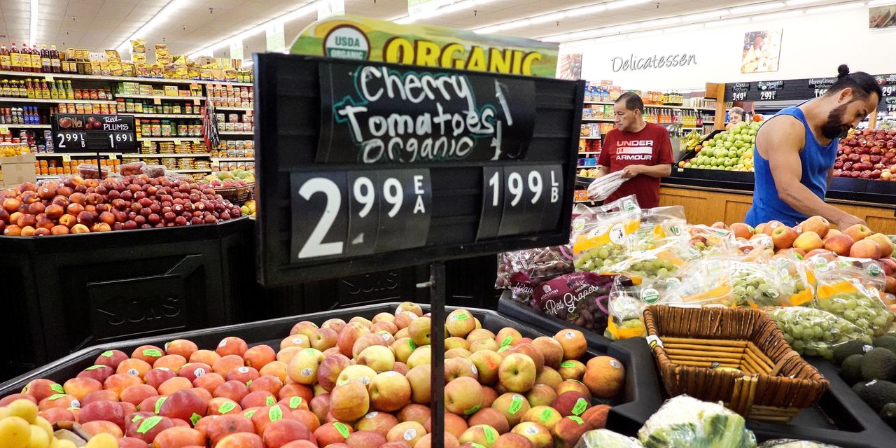 Featured image for United Natural Foods' Stock Plummets as Profitability Concerns Worsen