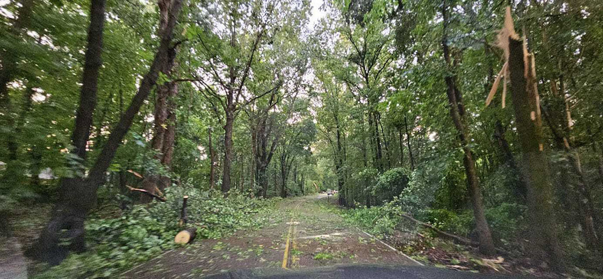 "Power Outages Plague Memphis After Severe Storms: Entergy's Restoration Efforts Underway"