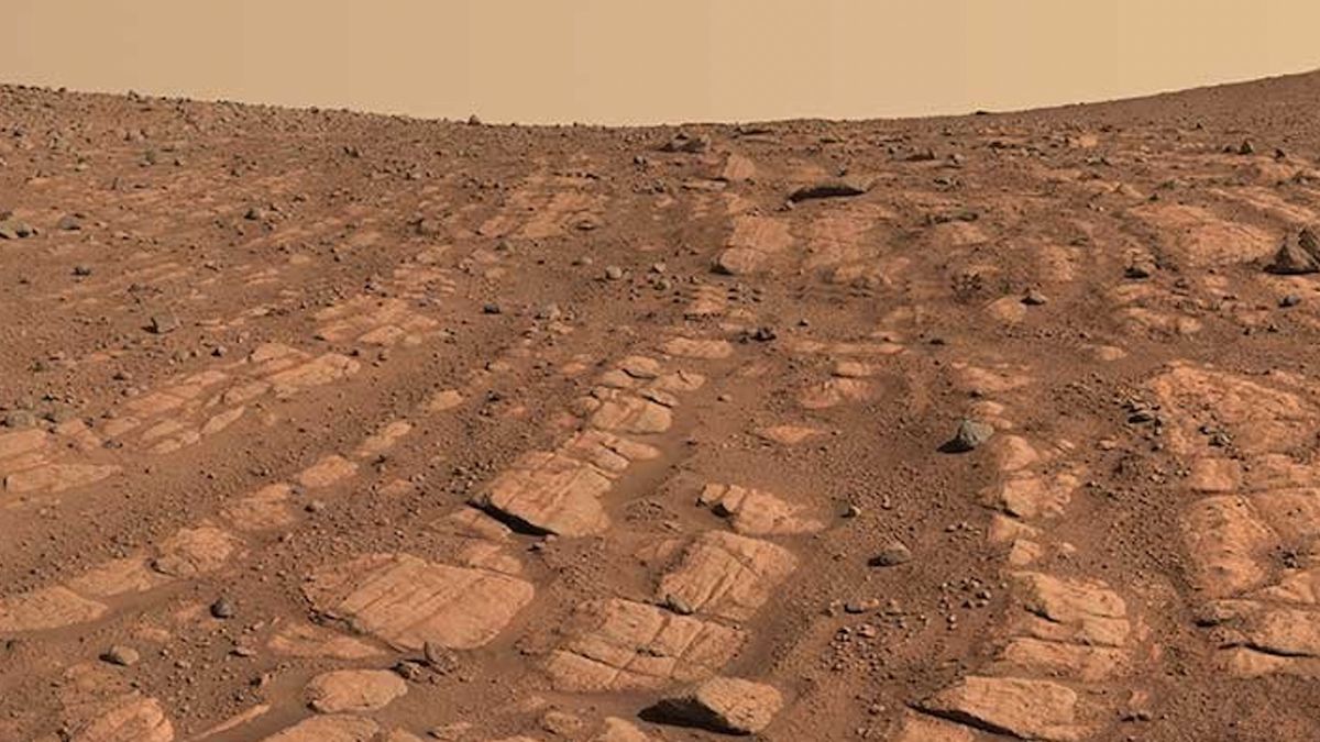 Unveiling the Ecosystem Secrets: Climate Change's Impact on Earth and Mars Rivers