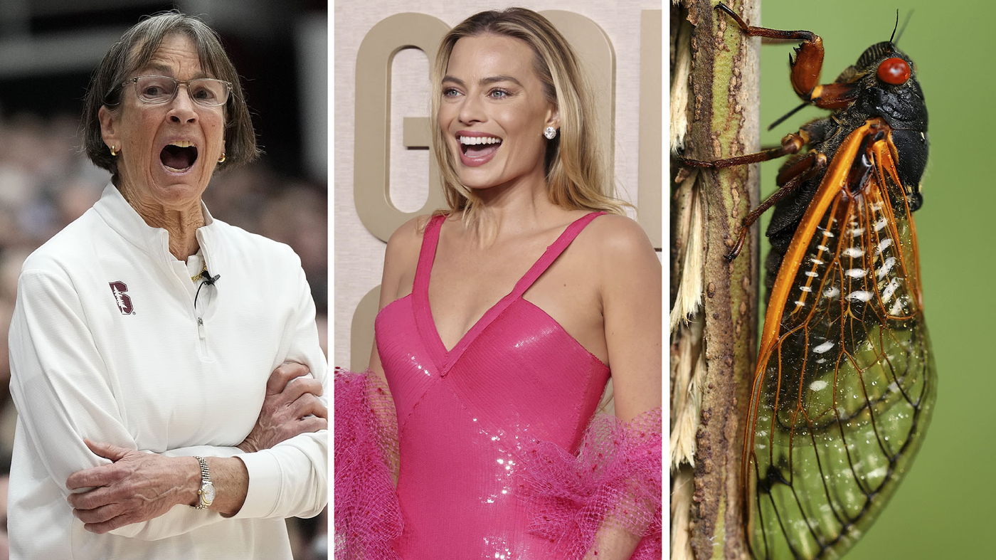 Featured image for "From Victorious Coach to Oscar Underdog: The Weekly News Quiz"