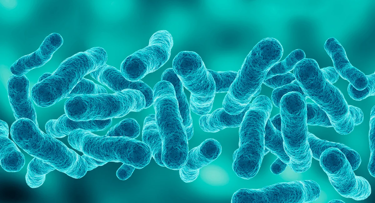 Featured image for Harlem Legionnaires' disease outbreak prompts health alert