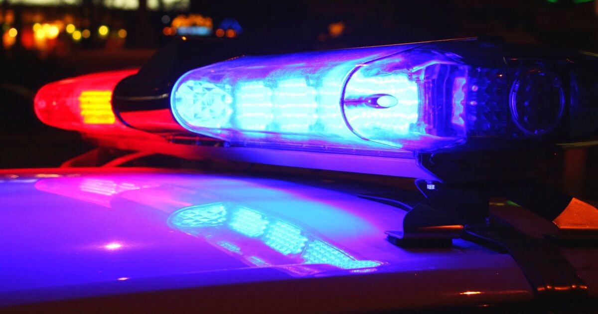 Featured image for Police Pursuit Ends in Crash and Puppies Thrown from Vehicle