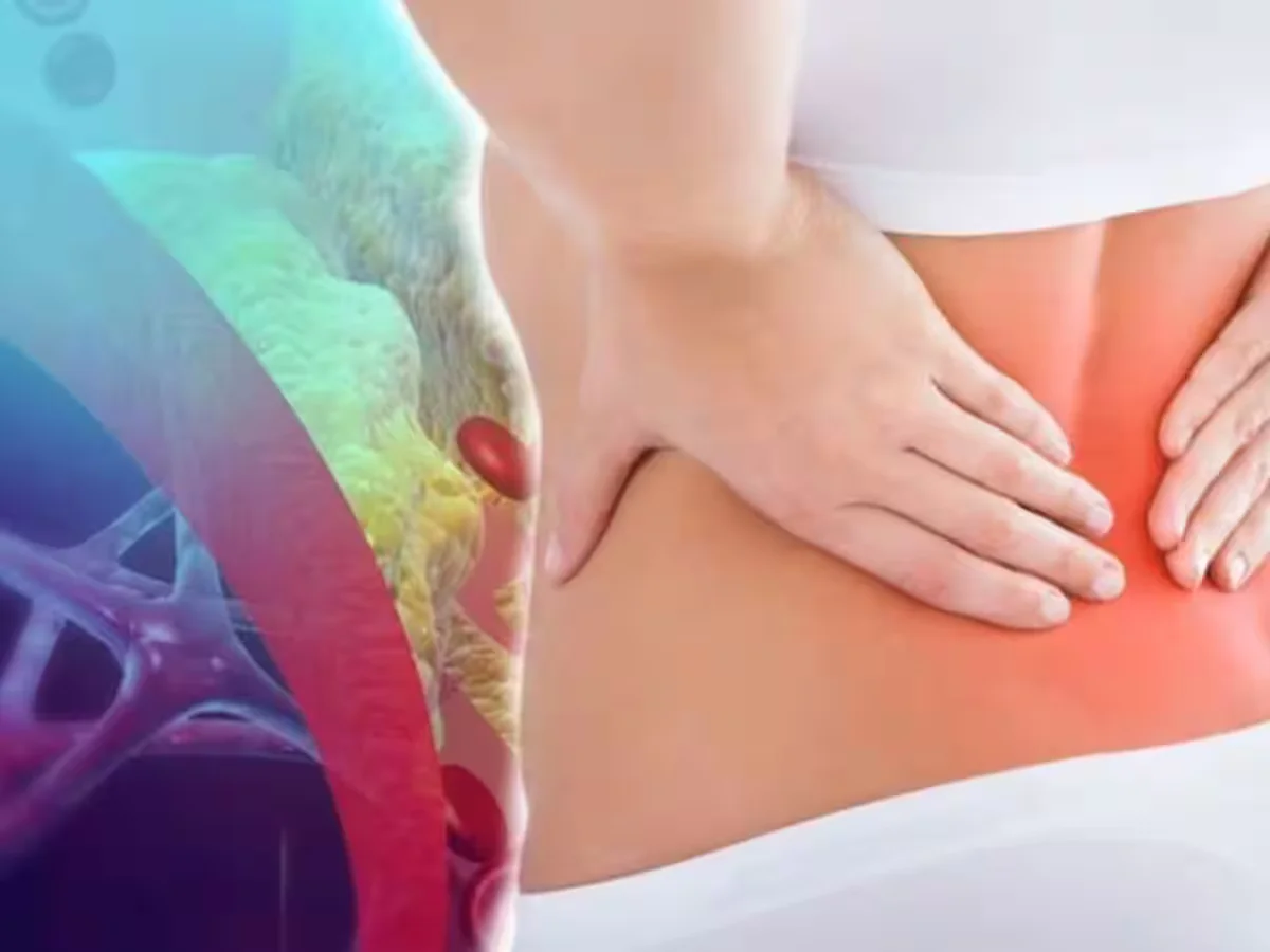 Featured image for The Link Between Uncontrolled Cholesterol and Gastrointestinal Issues.