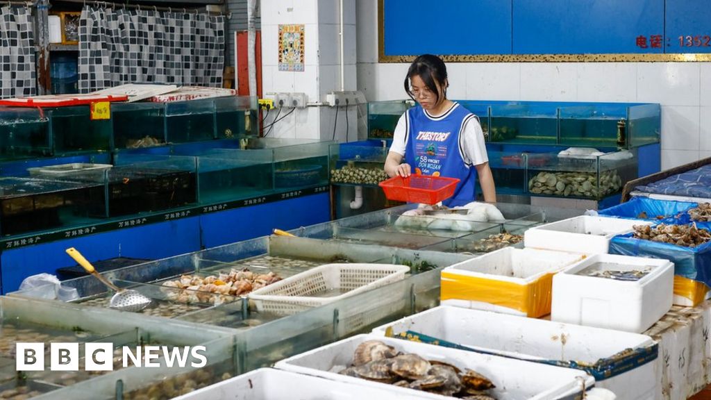 "Fukushima's Treated Radioactive Water Release Sparks China's Outrage"