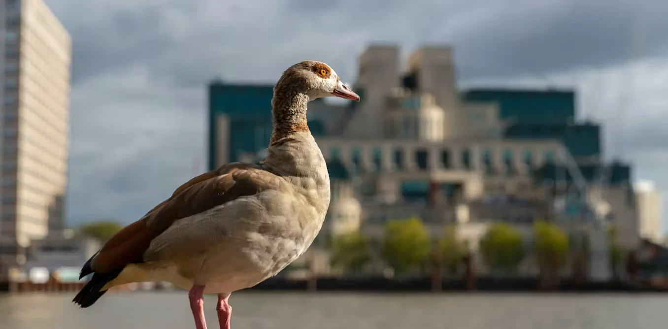 Hidden UK climate-security briefing exposes decades of inaction