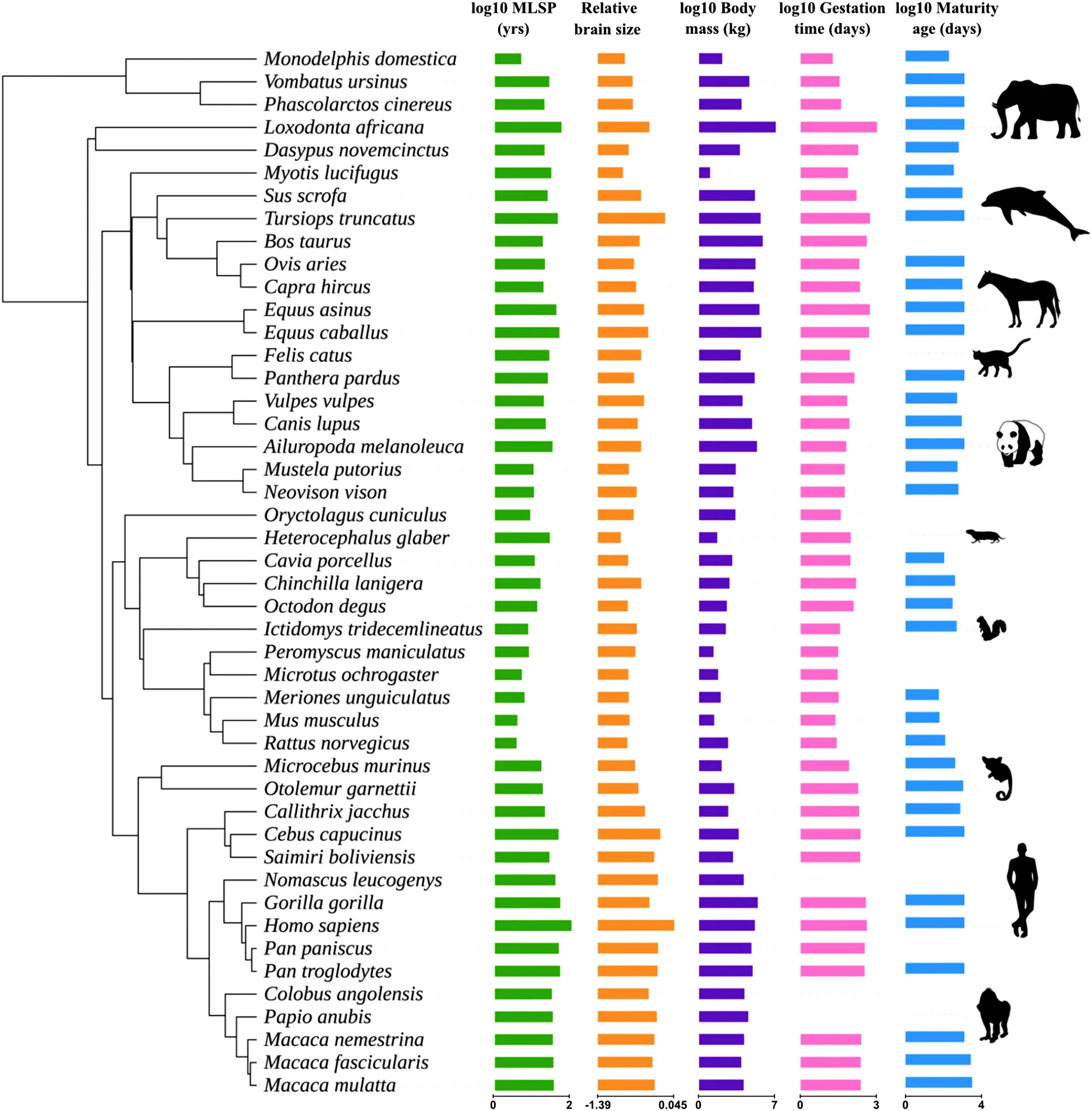 Featured image for Scientists Uncover Reasons Behind Varied Animal Lifespans