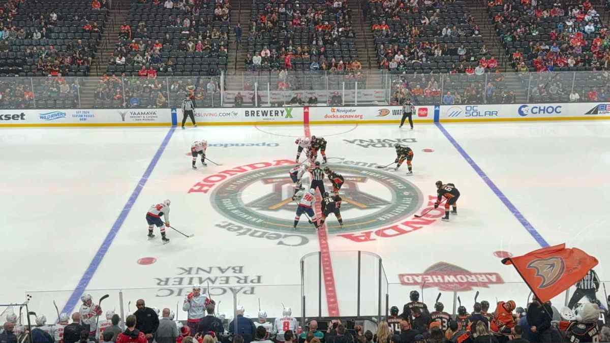 Featured image for Tom Wilson's Hat Trick Leads Capitals to 5-4 Victory over Ducks