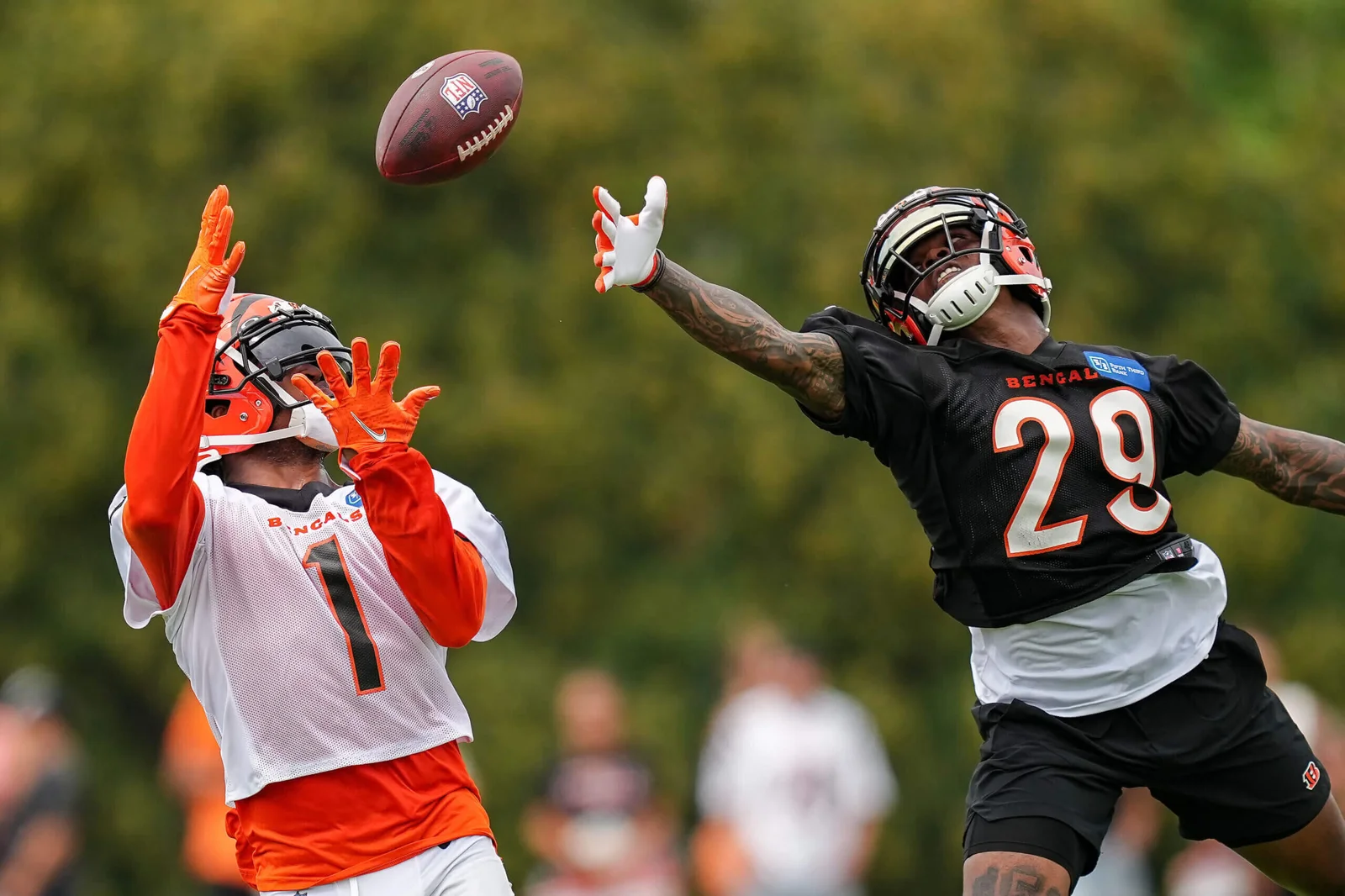 "Bengals Training Camp: Intense Battles and Memorable Moments"