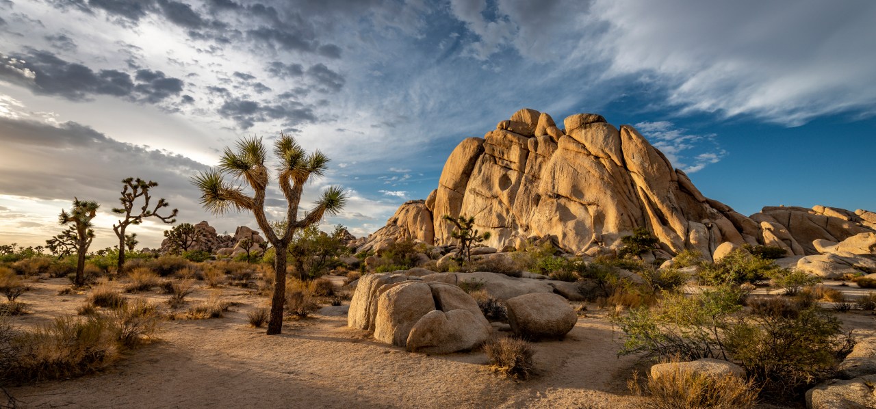 Featured image for "Discovery of Human Remains in Joshua Tree National Park Raises Questions About Missing Hiker"