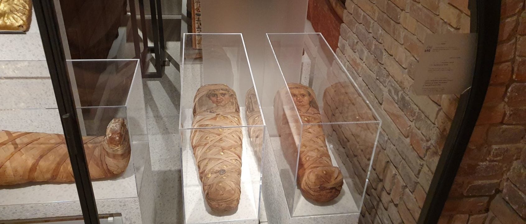 Featured image for "Ancient Mummies Reveal 4000-Year-Old Heart Disease"