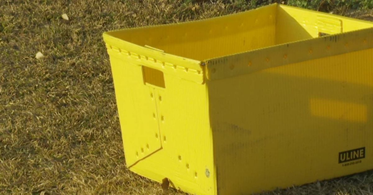 Featured image for Local Man Celebrated as 'Christmas Miracle' for Delivering Vital Packages After FedEx Mishap