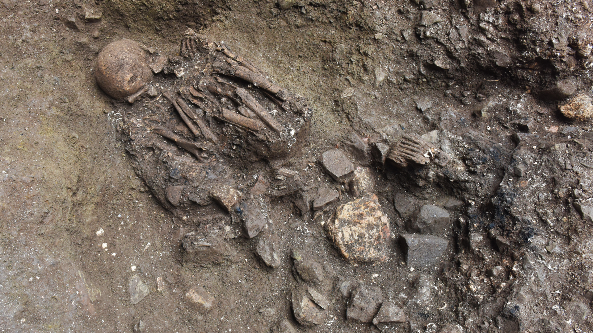 Ancient Tibetan 'Ghost' Lineage Revealed by DNA Study