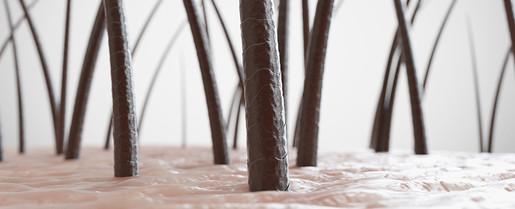 Featured image for "Groundbreaking Discovery Unveils Hidden Human Sense of Touch"