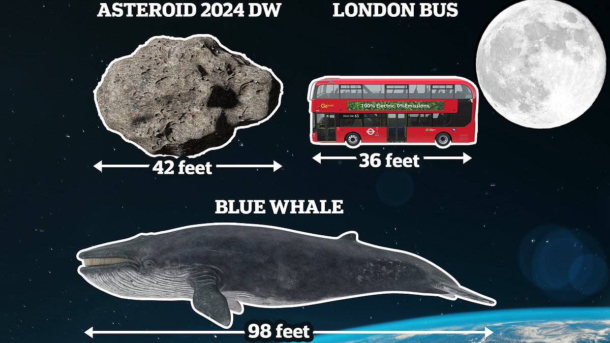 "Multiple Asteroids Set to Pass Close to Earth, Including One the Size of a Bus"